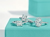 Tiffany & Co. Announces Launch of Ecommerce Site in India