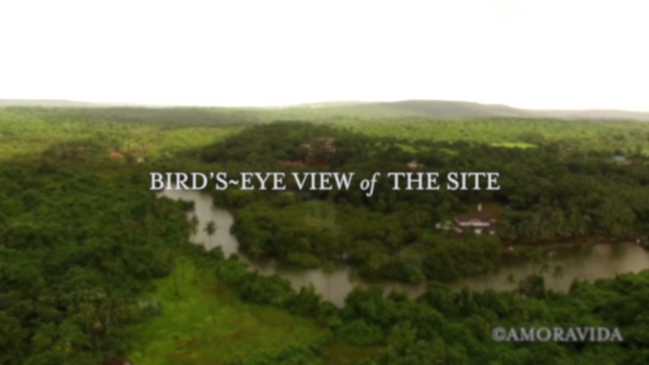 Treehouse Bungalows on the riverfront dream or fantasy? The Luxury